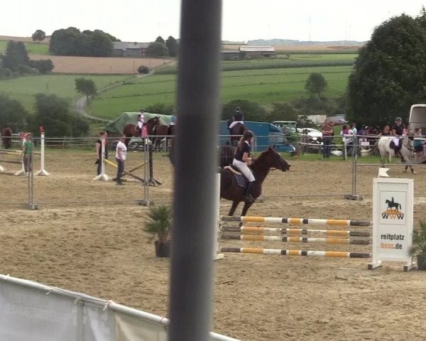 Reitturnier Brilon 2017