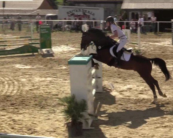Reitturnier Brilon 2017