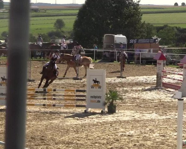 Reitturnier Brilon 2017
