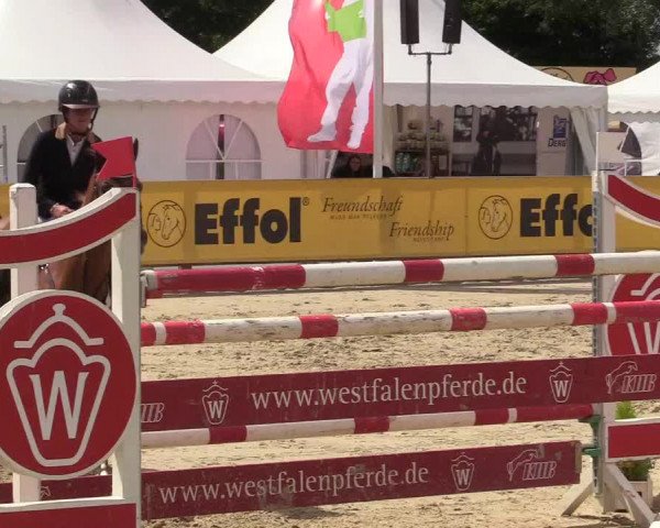 Westfalen-Woche 2017