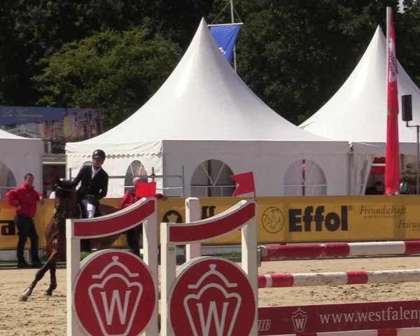 Westfalen-Woche 2017