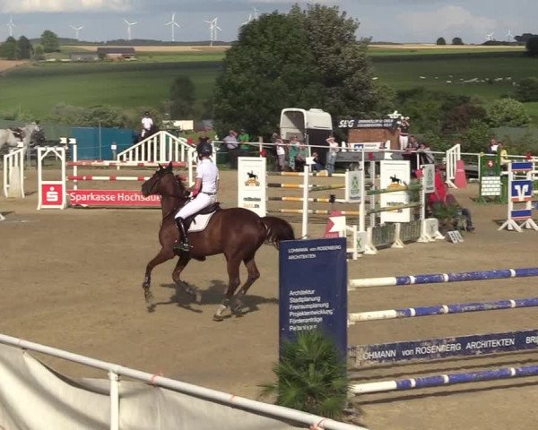 Reitturnier Brilon 2017