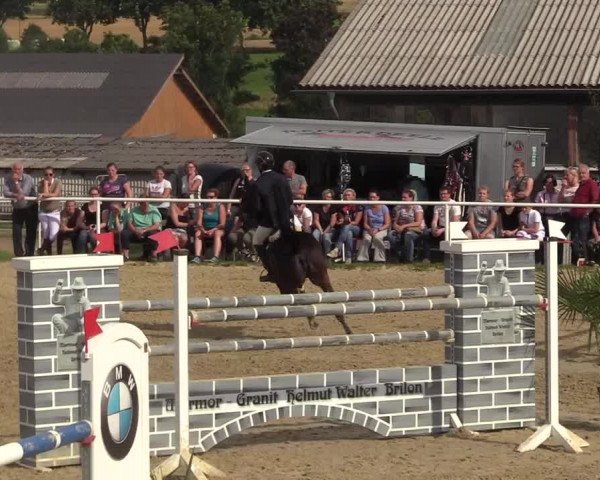 Reitturnier Brilon 2017
