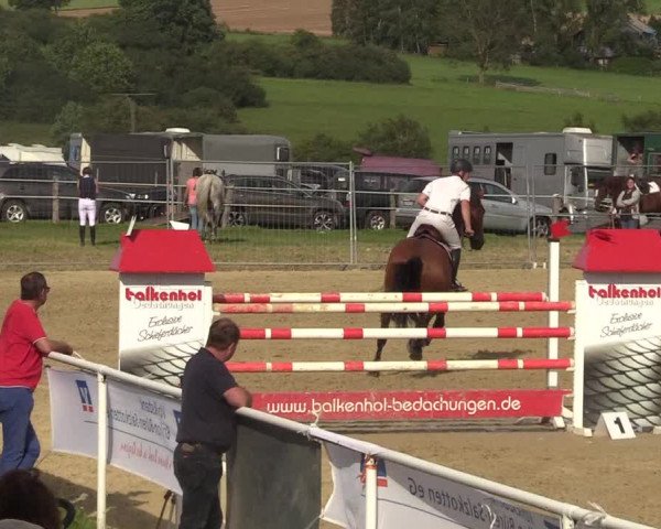 Reitturnier Brilon 2017