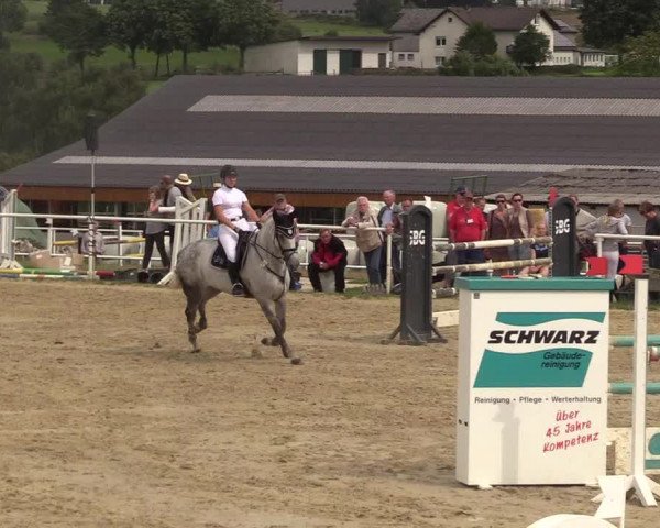 Reitturnier Brilon 2017