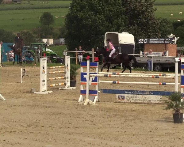 Reitturnier Brilon 2017