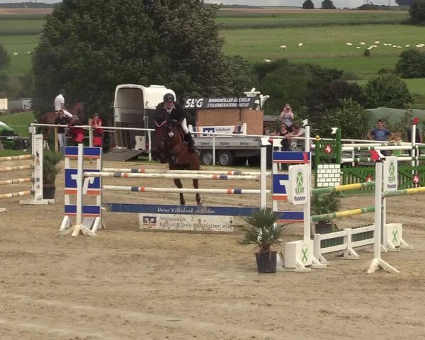 Reitturnier Brilon 2017