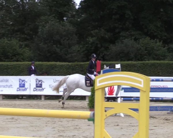 Reitturnier Münster-Handorf 2017
