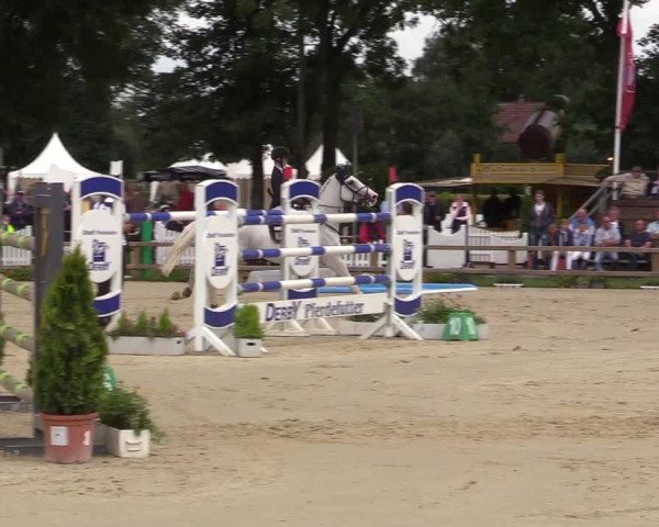Reitturnier Münster-Handorf 2017