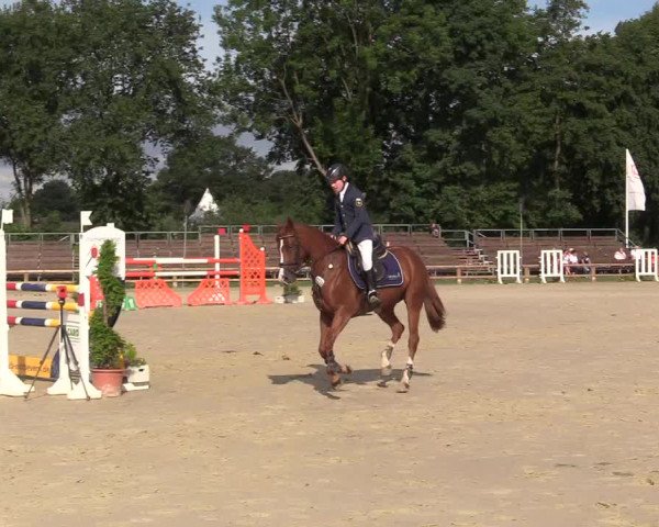 Reitturnier Münster-Handorf 2017