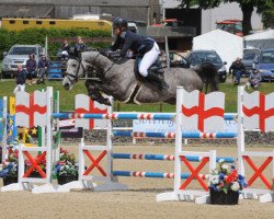 jumper Gerdien 2 van de Oldenhoff (KWPN (Royal Dutch Sporthorse), 2011, from Hos D'O)