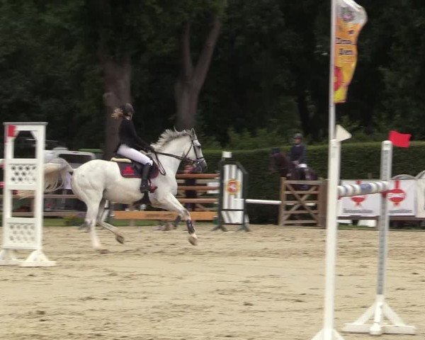Reitturnier Münster-Handorf 2017