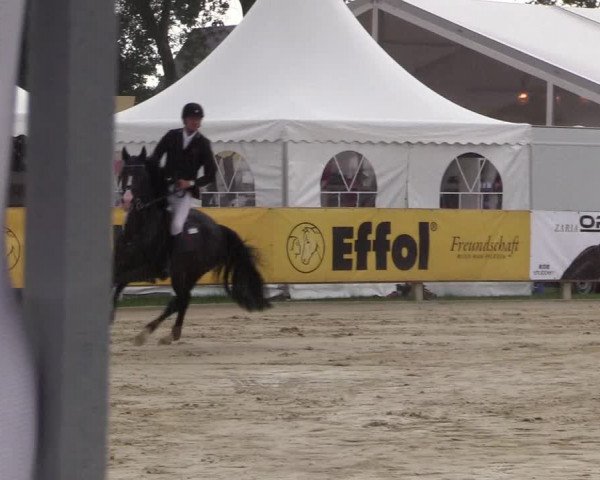 Westfalen-Woche 2017