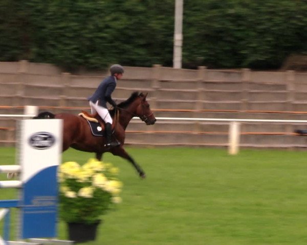 Reitturnier Baschütz bei Bautzen 2017