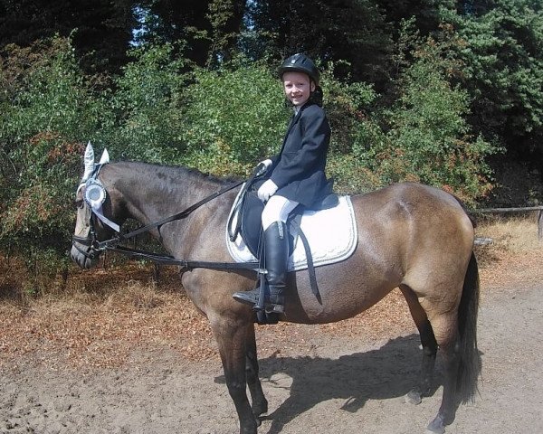 dressage horse FS Gytana (German Riding Pony, 1996, from FS Golden Moonlight)