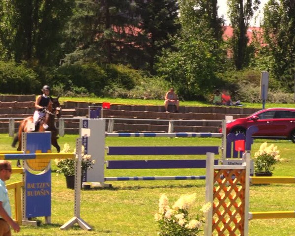 Reitturnier Baschütz bei Bautzen 2017