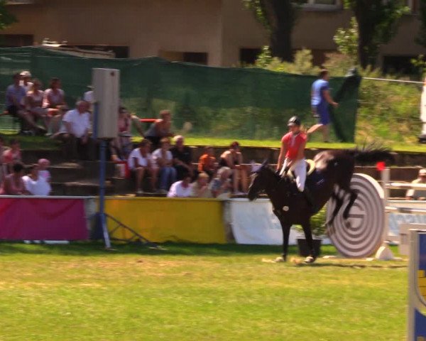Reitturnier Baschütz bei Bautzen 2017