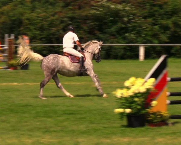 Reitturnier Baschütz bei Bautzen 2017