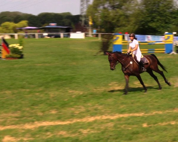 Reitturnier Baschütz bei Bautzen 2017