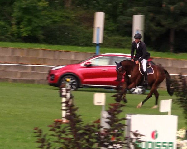 Reitturnier Baschütz bei Bautzen 2017
