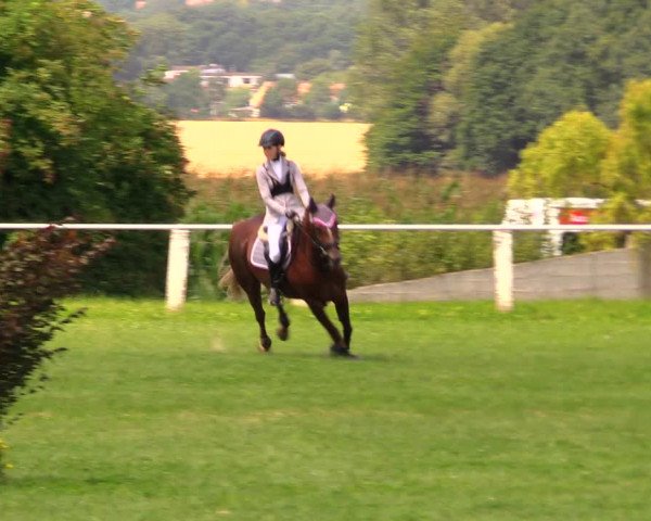 Reitturnier Baschütz bei Bautzen 2017