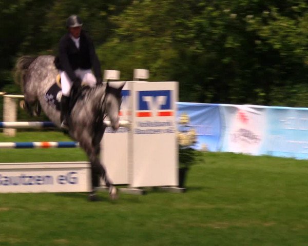 Reitturnier Baschütz bei Bautzen 2017