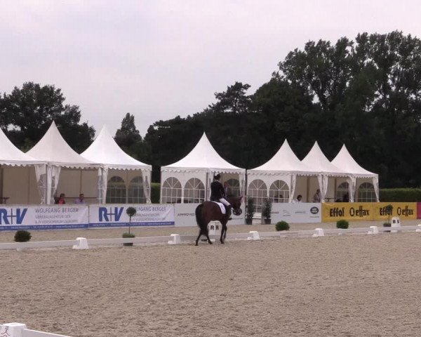 Reitturnier Münster-Handorf 2017