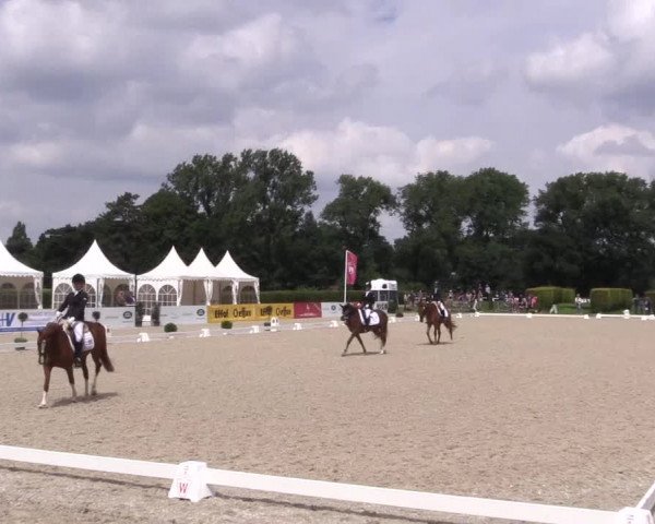 Westfalen-Woche 2017