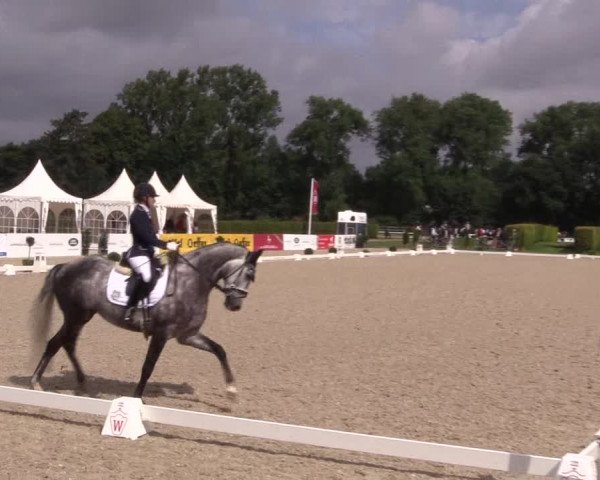 Reitturnier Münster-Handorf 2017