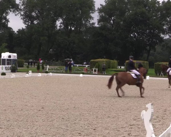 Reitturnier Münster-Handorf 2017