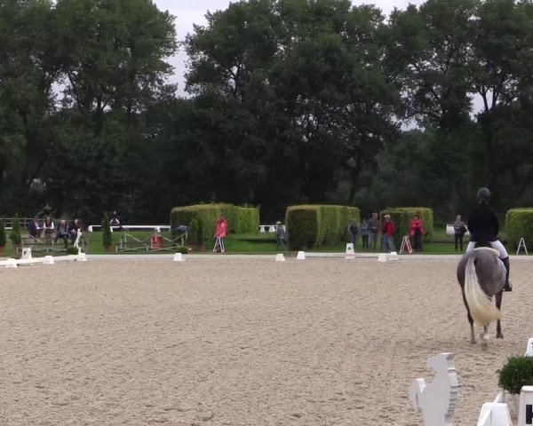 Westfalen-Woche 2017