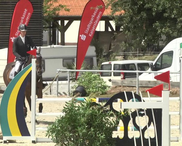 Reitturnier Fröhnerhof 2017