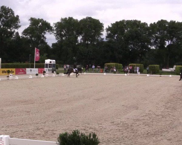 Reitturnier Münster-Handorf 2017