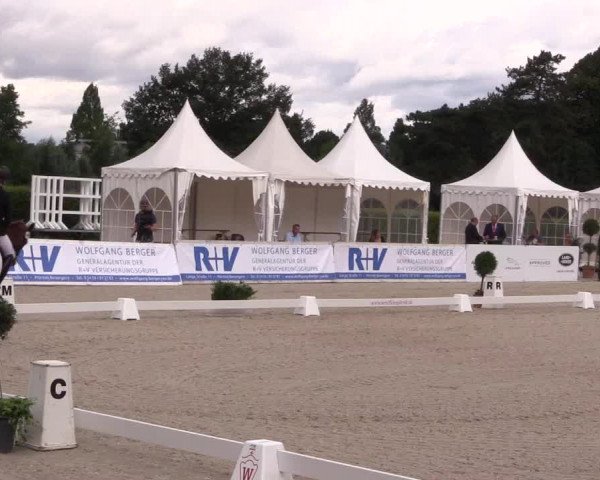 Reitturnier Münster-Handorf 2017