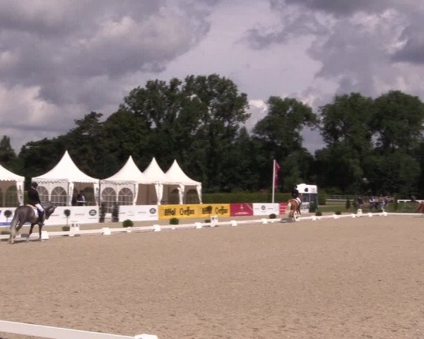 Westfalen-Woche 2017