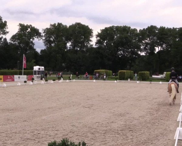 Westfalen-Woche 2017