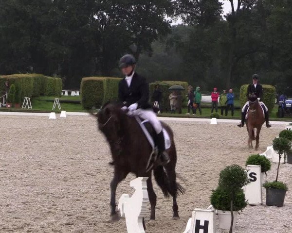 Reitturnier Münster-Handorf 2017