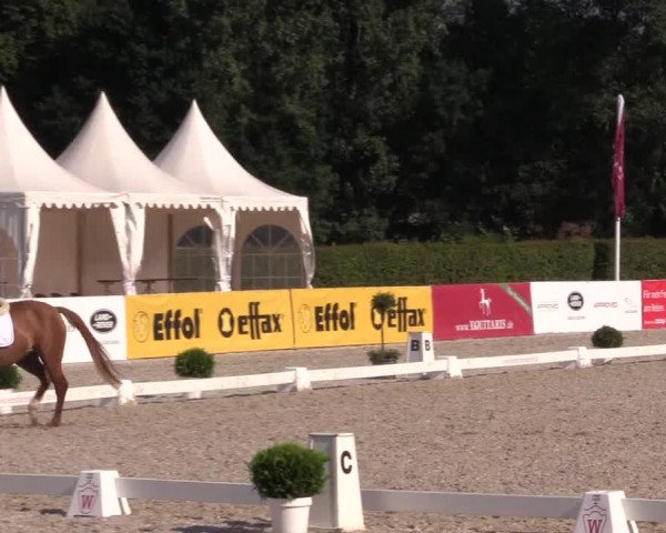 Westfalen-Woche 2017