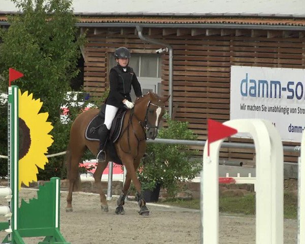 Reitturnier Fröhnerhof 2017
