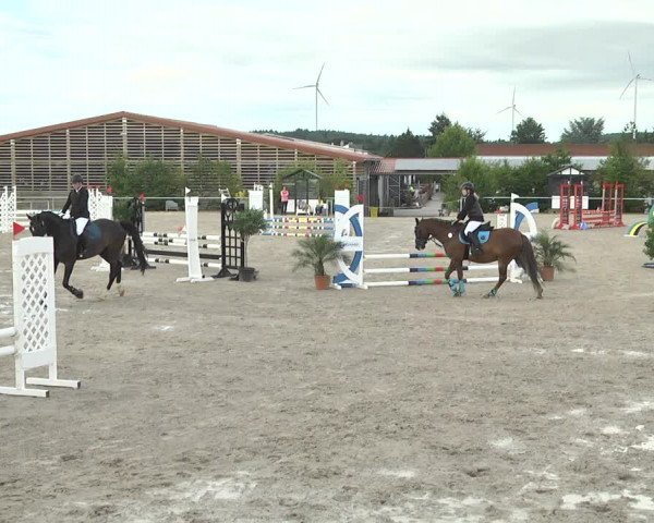 Reitturnier Fröhnerhof 2017