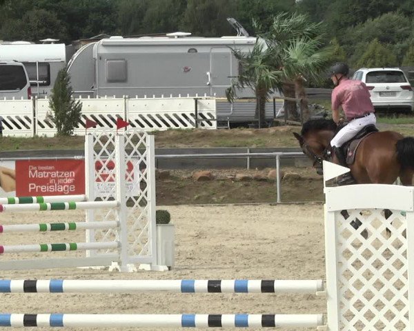 Reitturnier Fröhnerhof 2017