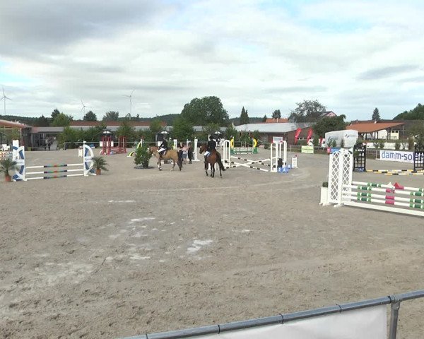 Reitturnier Fröhnerhof 2017