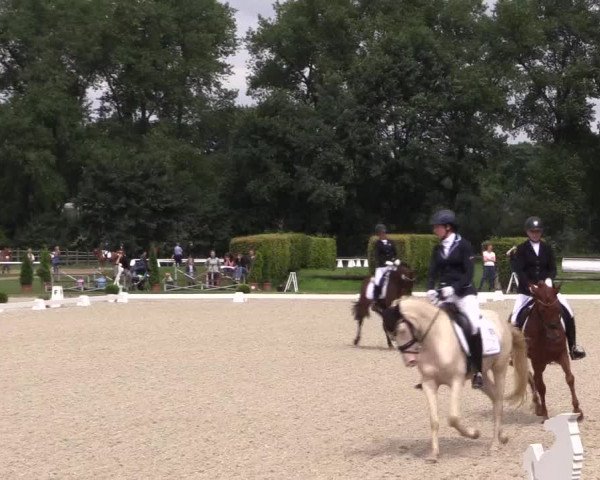 Westfalen-Woche 2017
