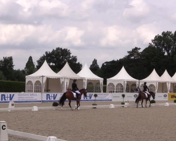 Reitturnier Münster-Handorf 2017