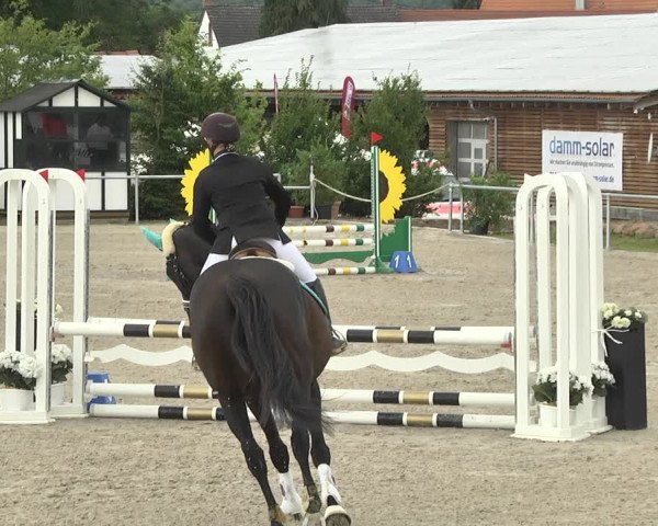 Reitturnier Fröhnerhof 2017