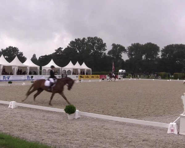 Westfalen-Woche 2017
