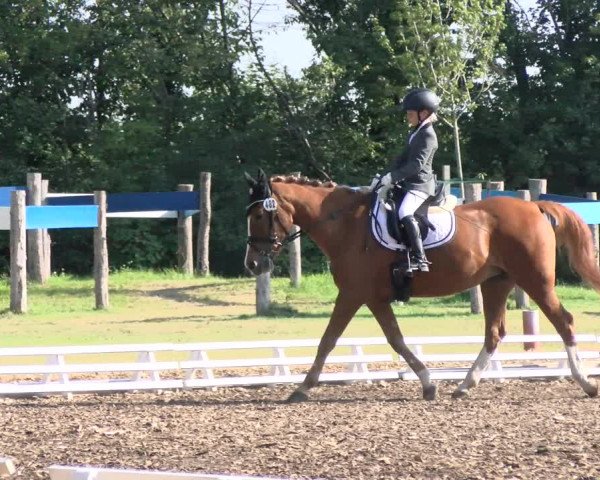 Equestrian Show Reilingen 2021