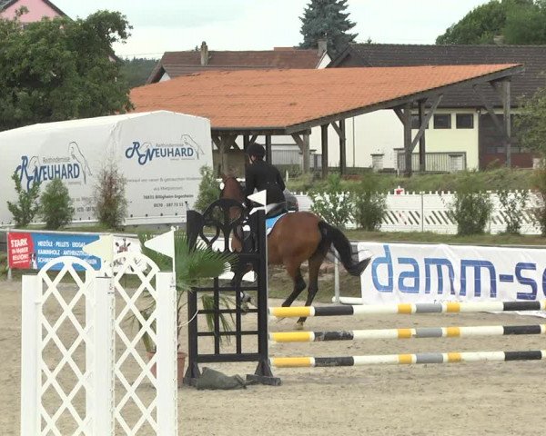 Reitturnier Fröhnerhof 2017
