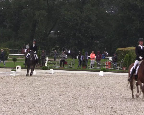 Reitturnier Münster-Handorf 2017