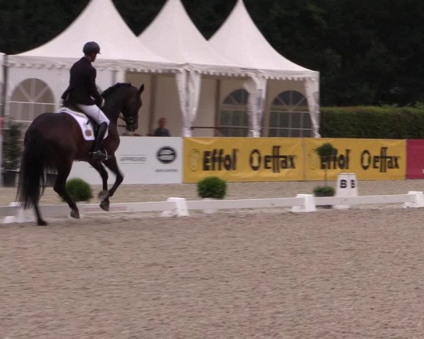 Reitturnier Münster-Handorf 2017